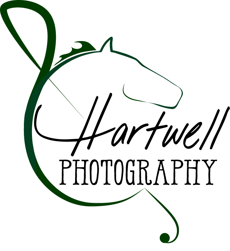 BIG E 2021 Archive Event Galleries OFFICIAL HORSE SHOW PHOTOGRAPHER